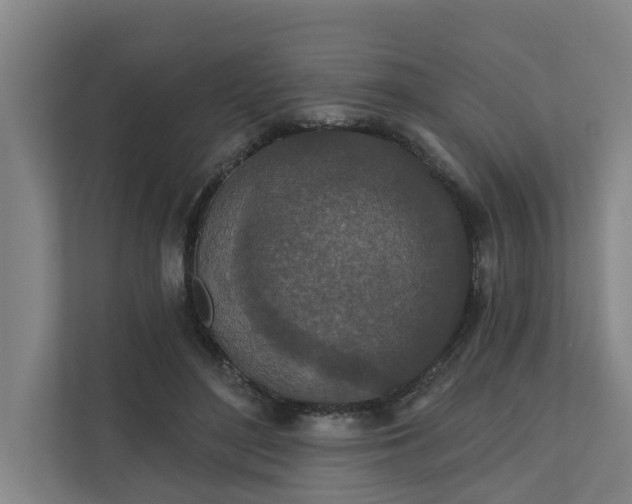 X0000110760500200906221125