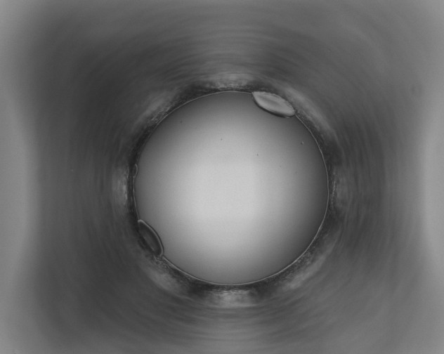X0000110760501200906221125