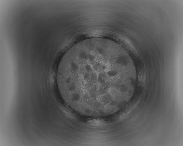 X0000110760503200906221125