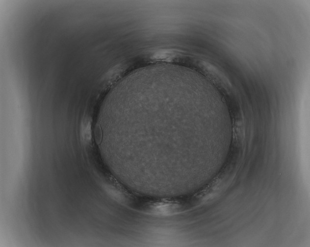 X0000110760504200906221125