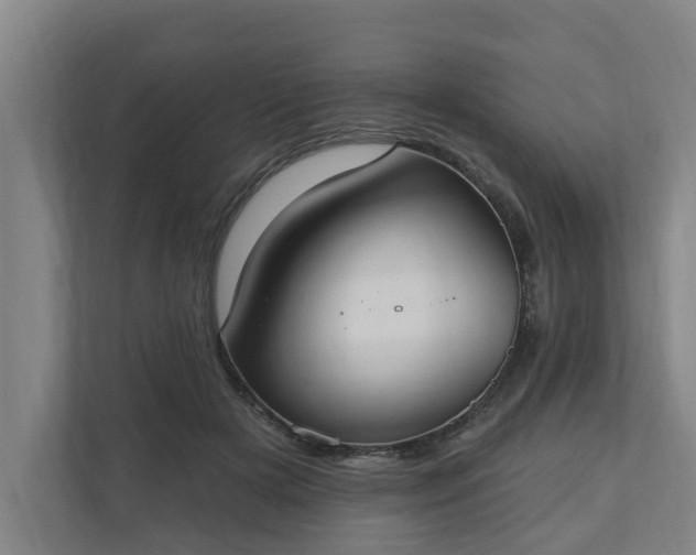 X0000110760505200906221125