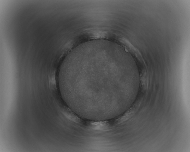 X0000110760516200906221125