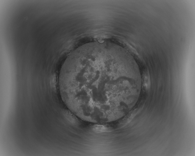 X0000110760519200906221125