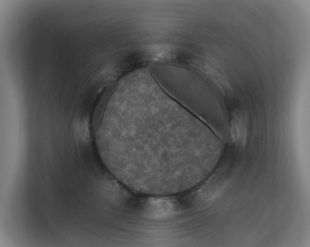 X0000110760520200906221125