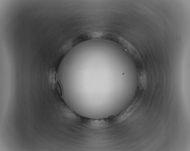 X0000110760525200906221124