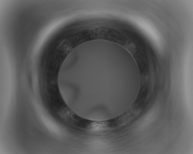 X0000110760526200906221124