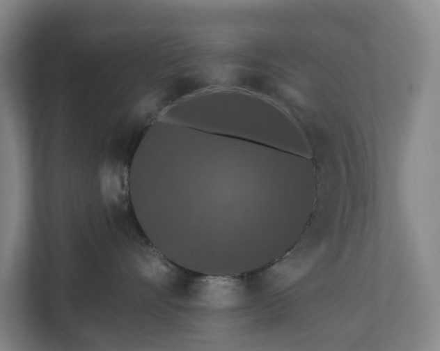 X0000110760528200906221124