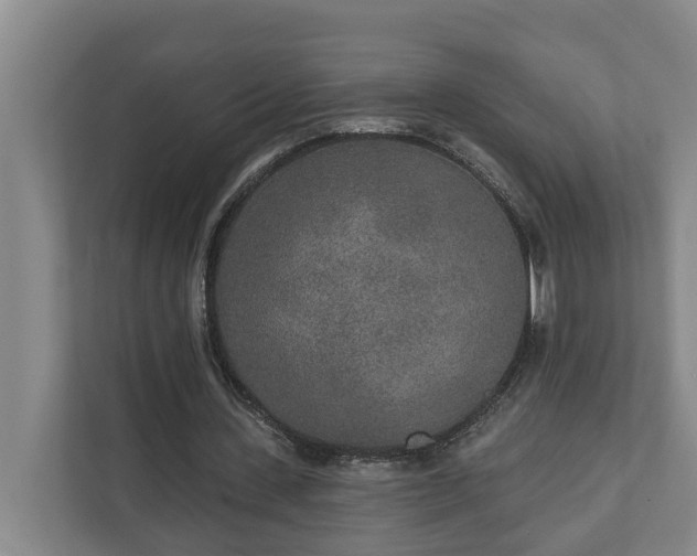 X0000110760531200906221124