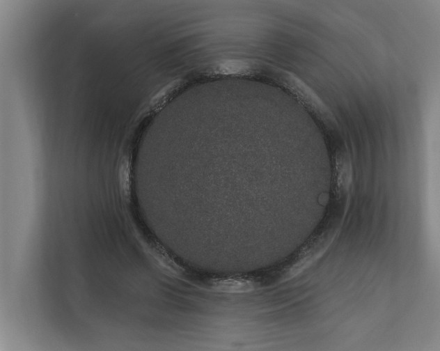 X0000110760542200906221124