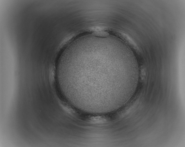 X0000110760544200906221124