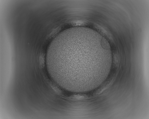 X0000110760545200906221124
