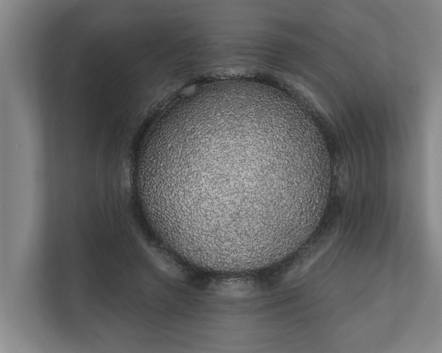 X0000110760546200906221124