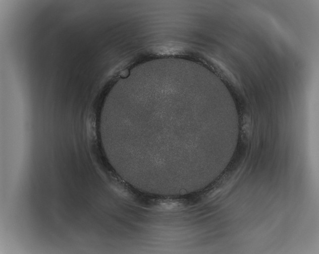 X0000110760547200906221124