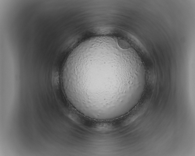 X0000110760549200906221124