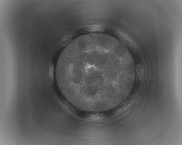 X0000110760550200906221124