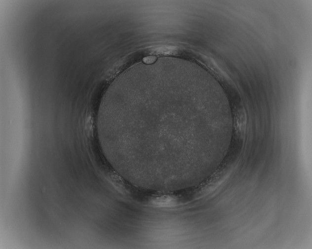 X0000110760551200906221124