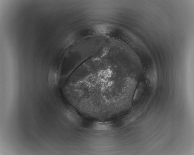 X0000110760556200906221124