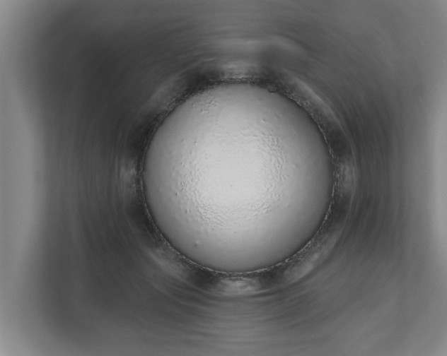 X0000110760557200906221124