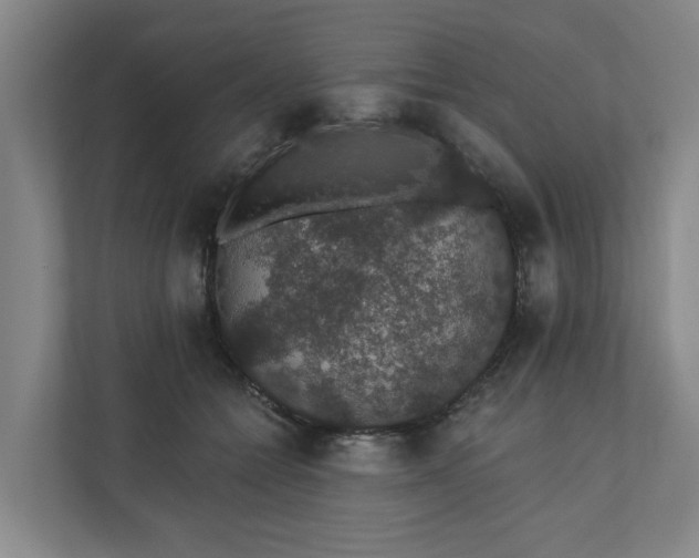 X0000110760558200906221124