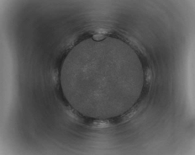 X0000110760559200906221124