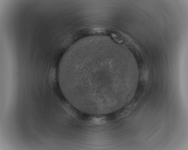 X0000110760560200906221124