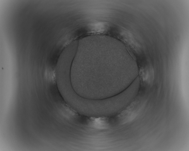 X0000110760564200906221124