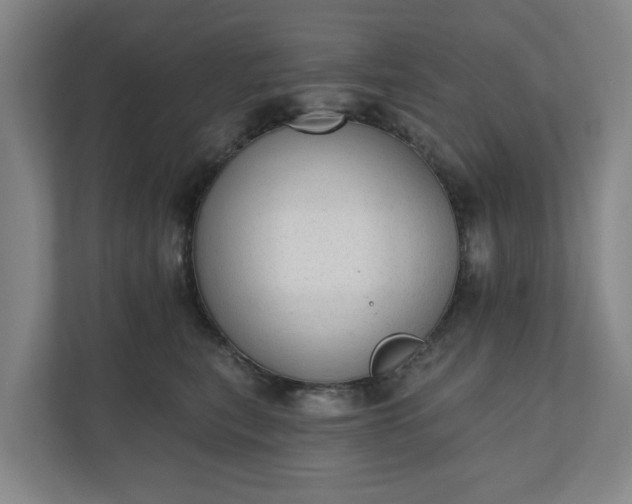 X0000110760567200906221124