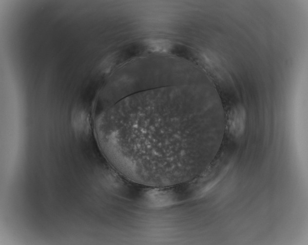 X0000110760568200906221124