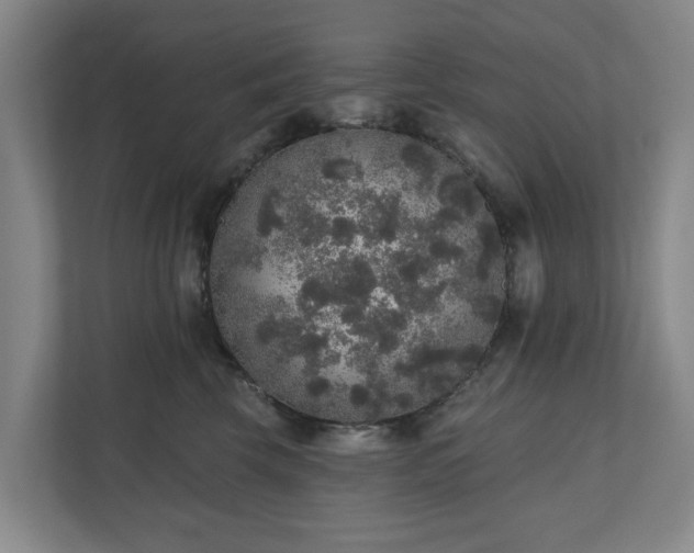 X0000110760569200906221124