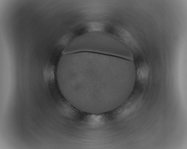 X0000110760570200906221124