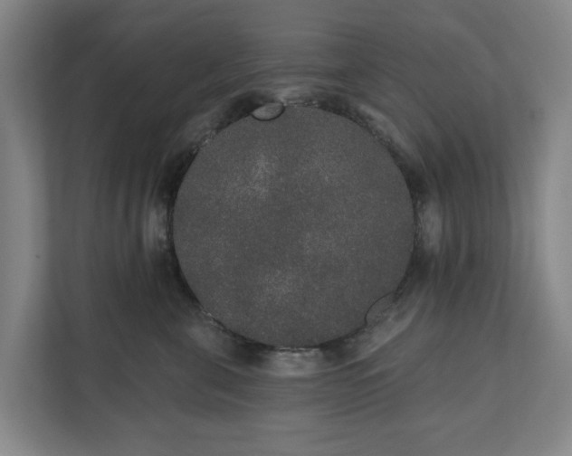 X0000110760571200906221124