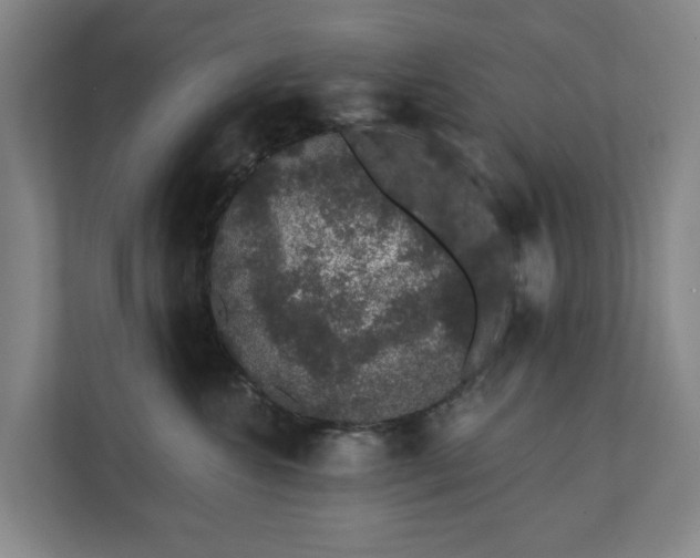 X0000110760572200906221124