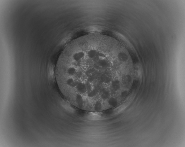 X0000110760573200906221124