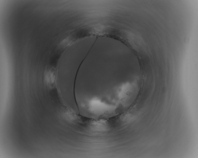 X0000110760576200906221124