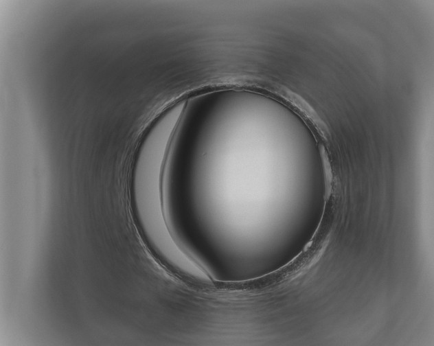 X0000110760577200906221124