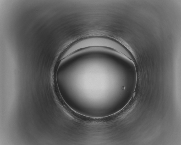 X0000110760581200906221124