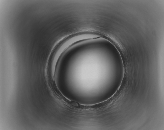 X0000110760583200906221124