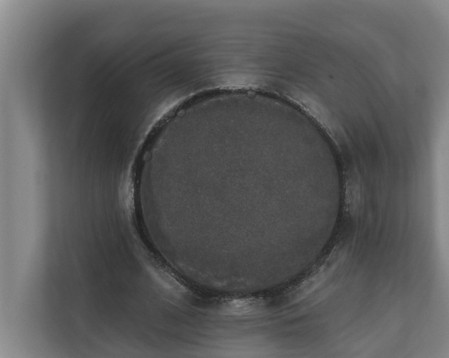 X0000110760584200906221124