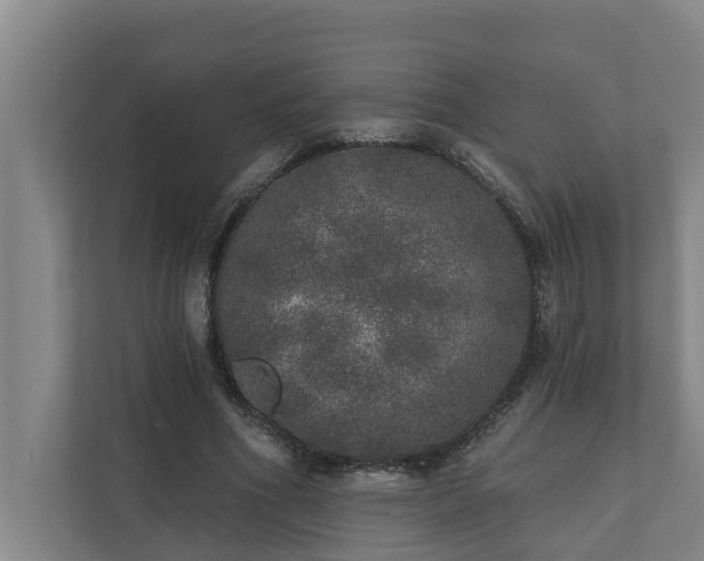 X0000110760586200906221124