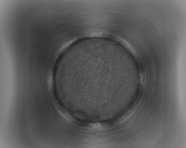 X0000110760588200906221124