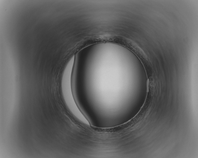X0000110760593200906221124
