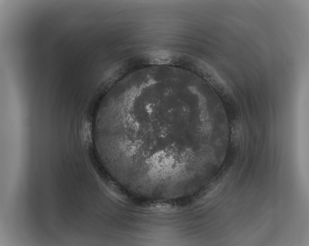 X0000110760598200906221123