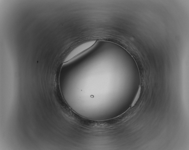X0000110760599200906221123