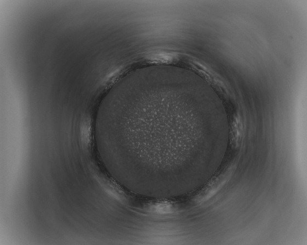 X0000110760600200906221123