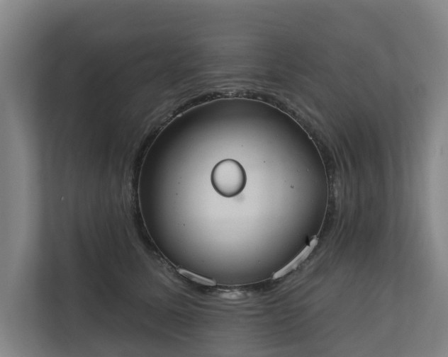 X0000110760611200906221123