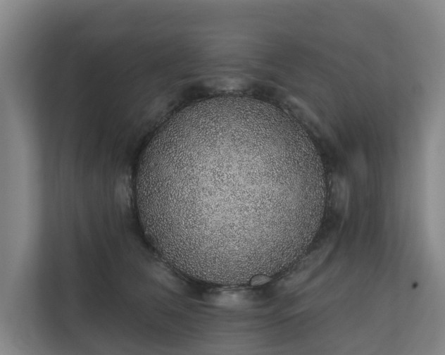 X0000110760612200906221123