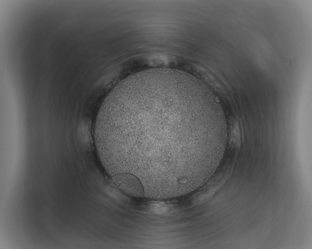 X0000110760616200906221123