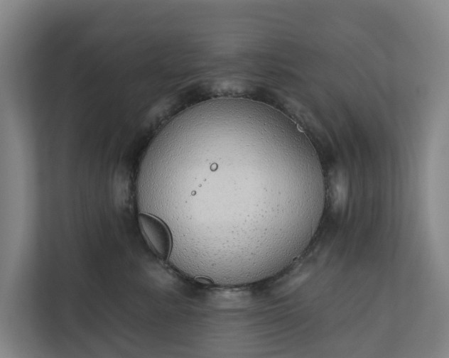 X0000110760619200906221123