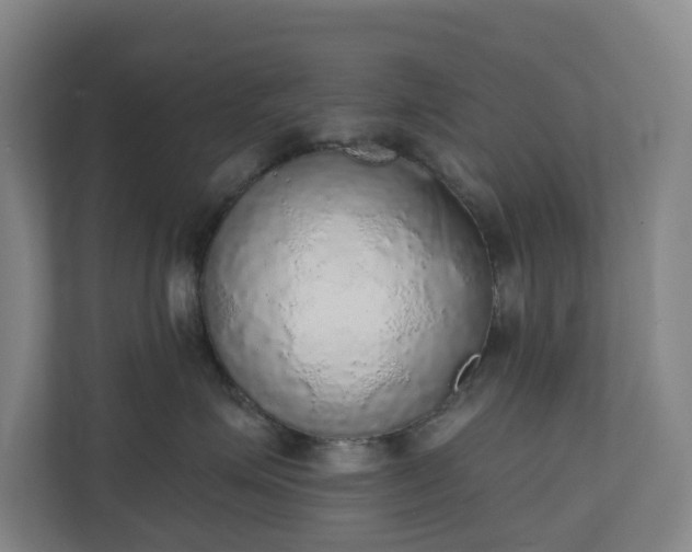 X0000110760623200906221123