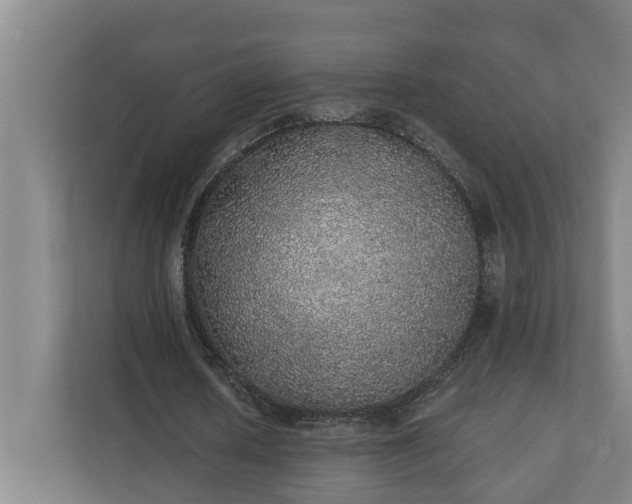 X0000110760626200906221123